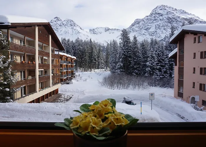The Window To The Mountains