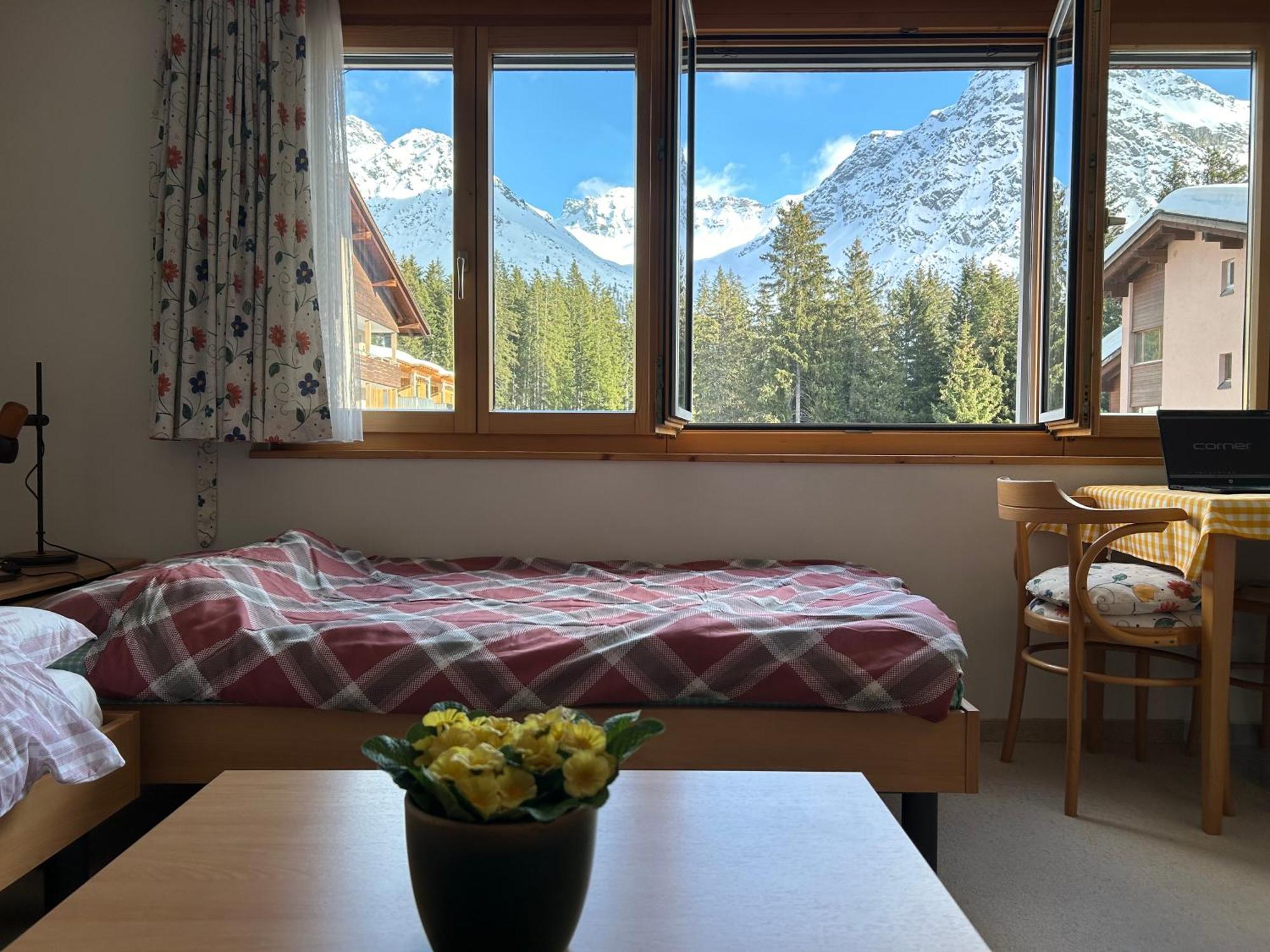 The Window To The Mountains