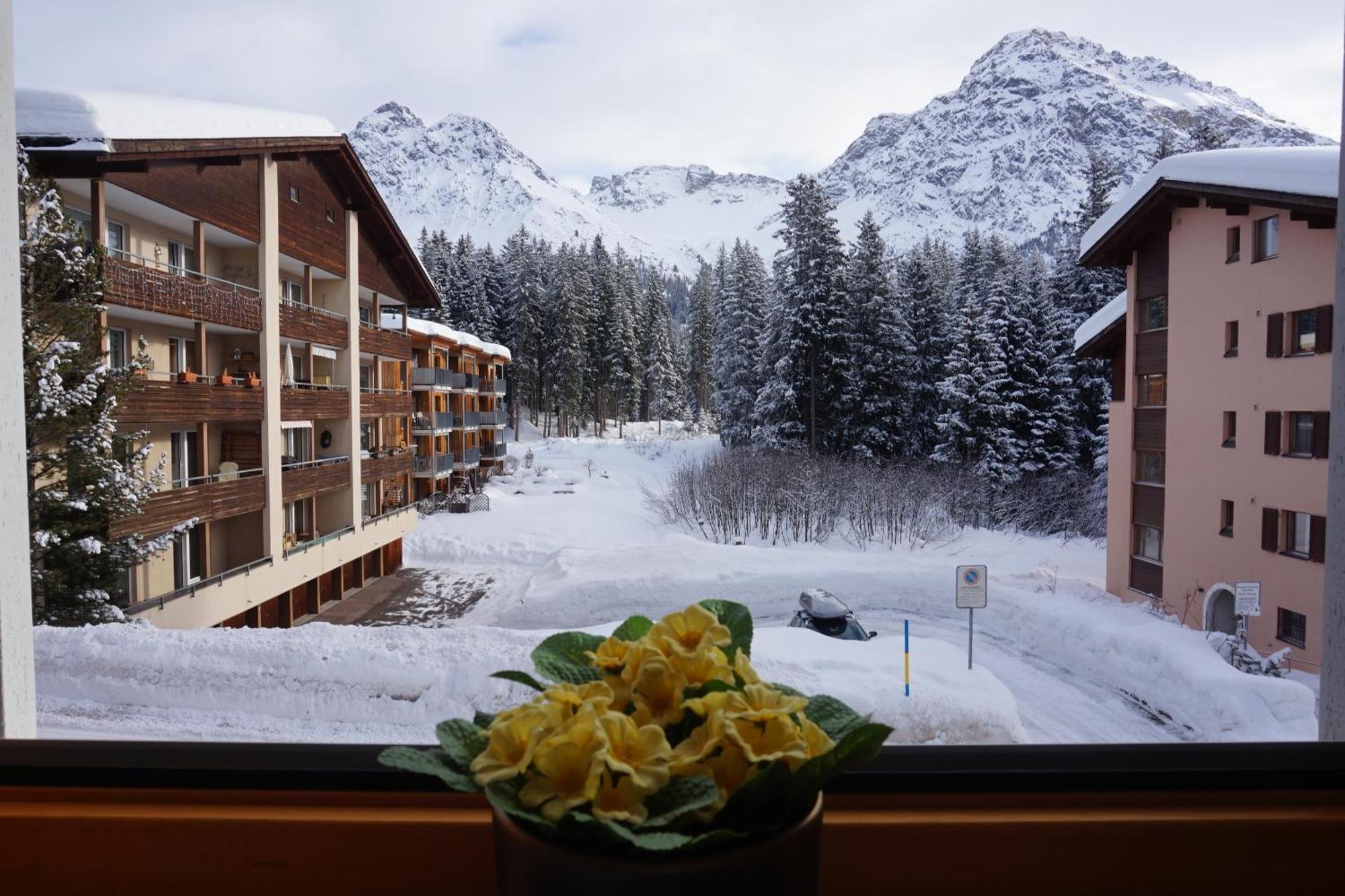 The Window To The Mountains *